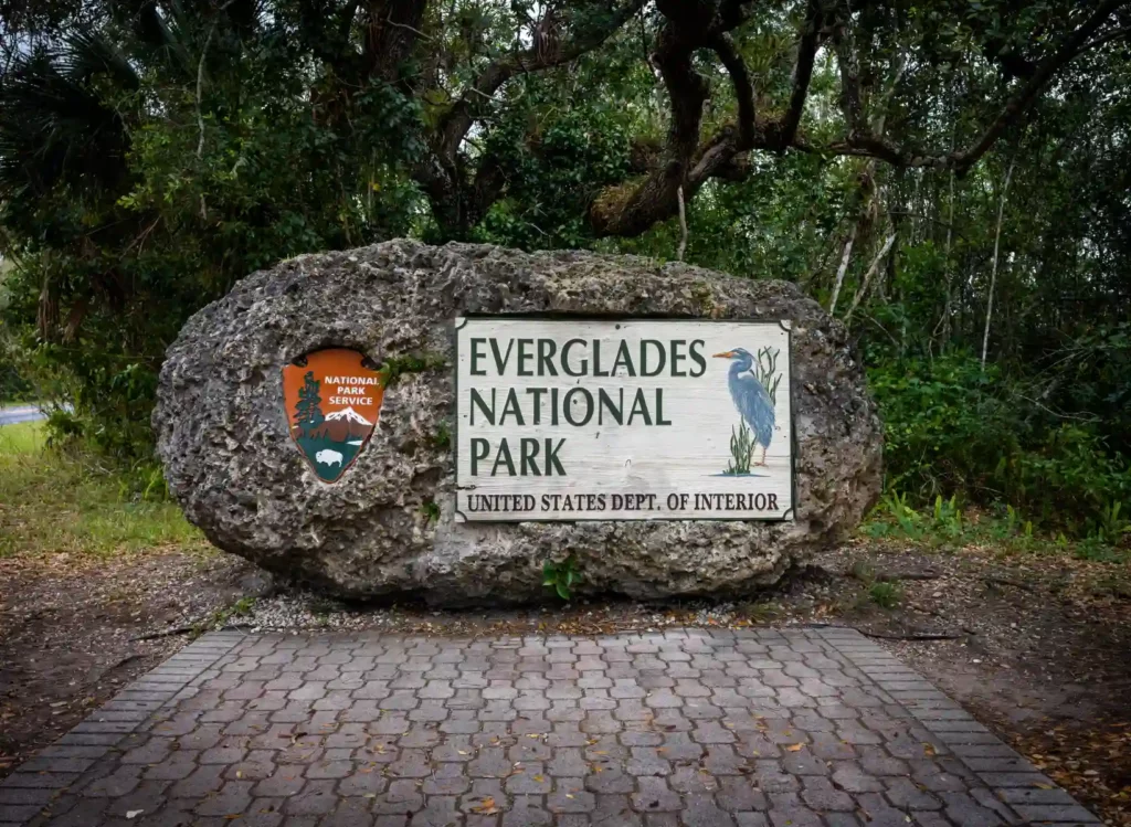 Is Everglades National Park Worth Seeing