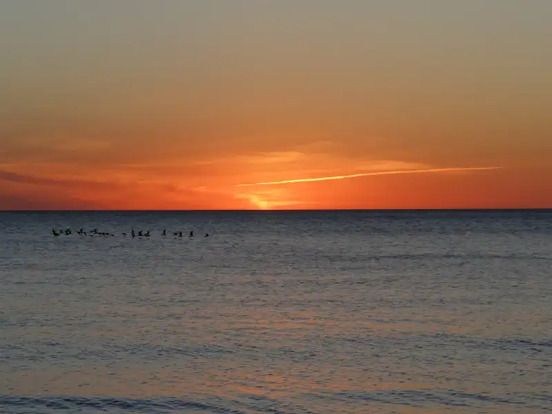 sunset cruise marco island Is St. George Island Worth Visiting? Reasons Why You Must Visit!