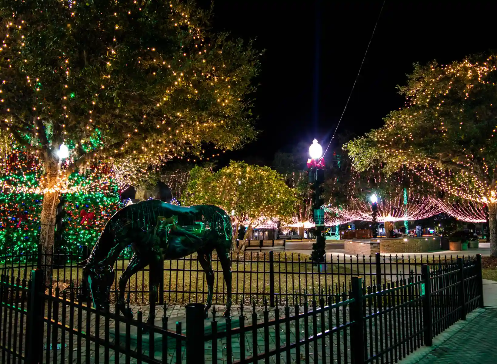9 Best Things to do in Ocala at Night
