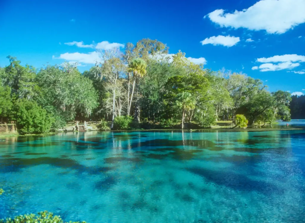 Best Dog Friendly Natural Springs in Florida