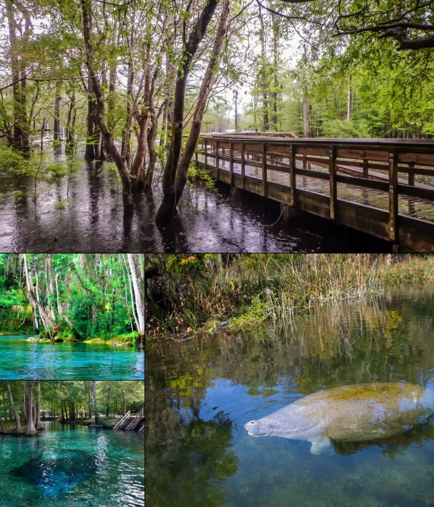 Best Natural Springs in Florida Panhandle